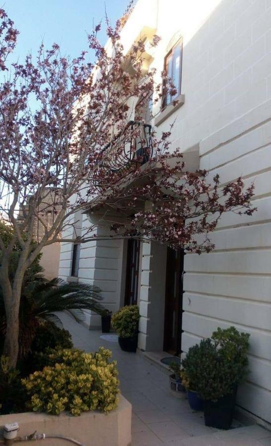 Homestay Naxxar Dış mekan fotoğraf